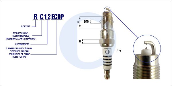 RC12ECDP