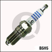B5H5