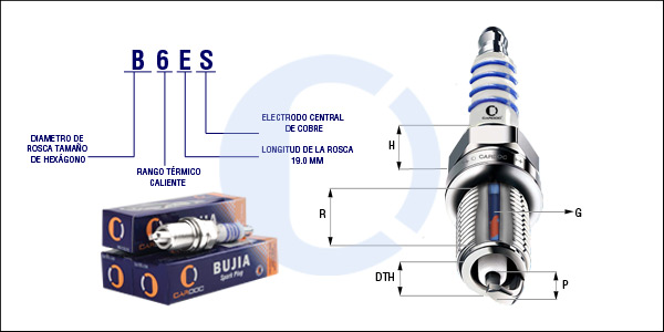 B6ES