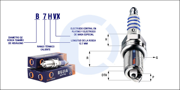 B7HVX