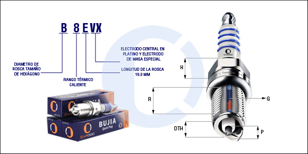 B8EVX