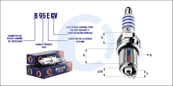 B95EGV