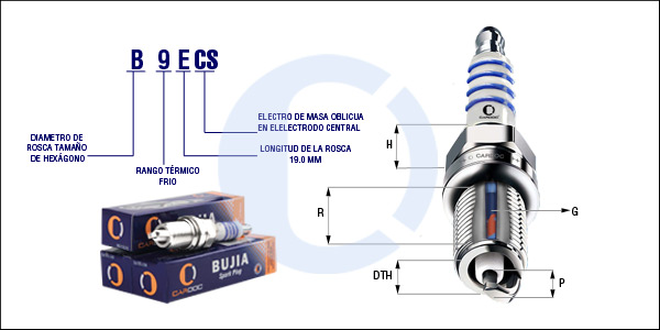 B9ECS