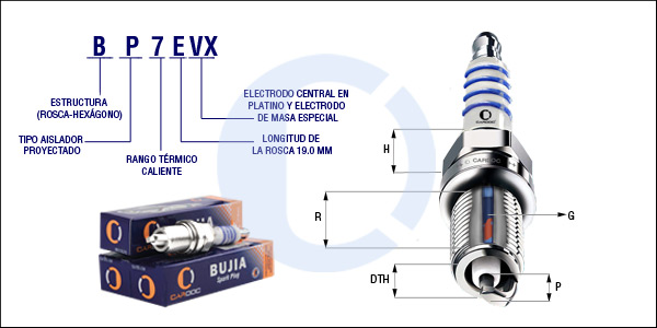 BP7EVX