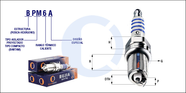 BPM6A