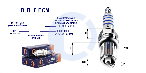 BR8ECM