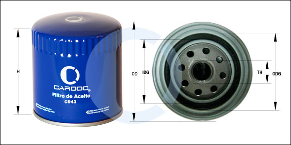 CD43