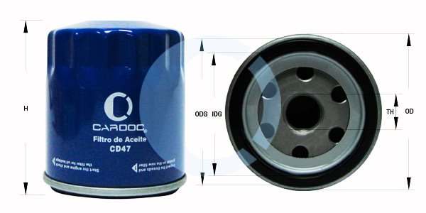 CD47
