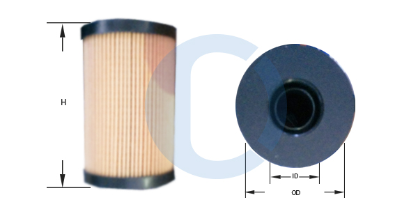 CD50629
