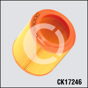 CK17246