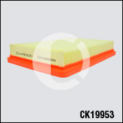 CK19953