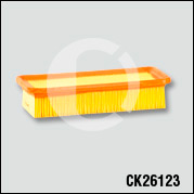 CK26123