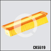 CK5519