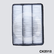 CK8918