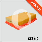 CK8919