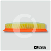 CK9895