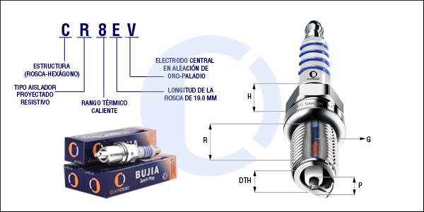 CR8EV