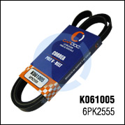 K061005