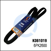 K061019