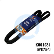 K061031