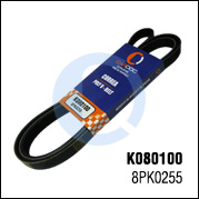 K080100