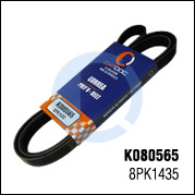 K080565