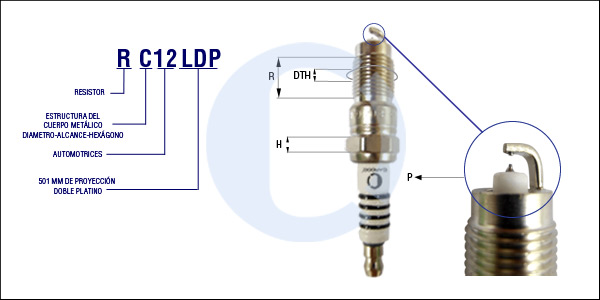 RC12LDP