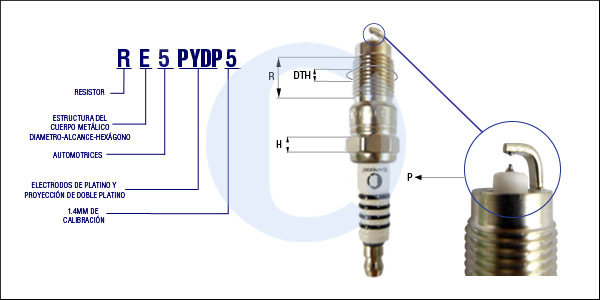 RE5PYDP5