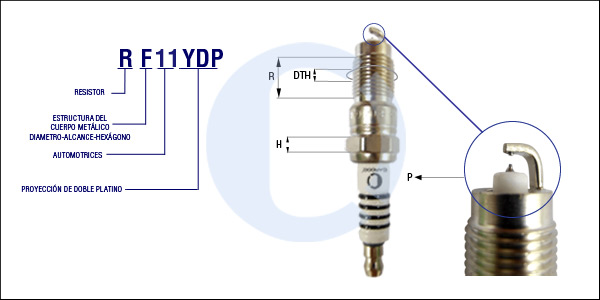 RF11YDP
